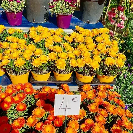 Daire Boulevard Victor Hugo