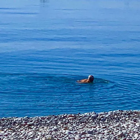 Boulevard Victor Hugo